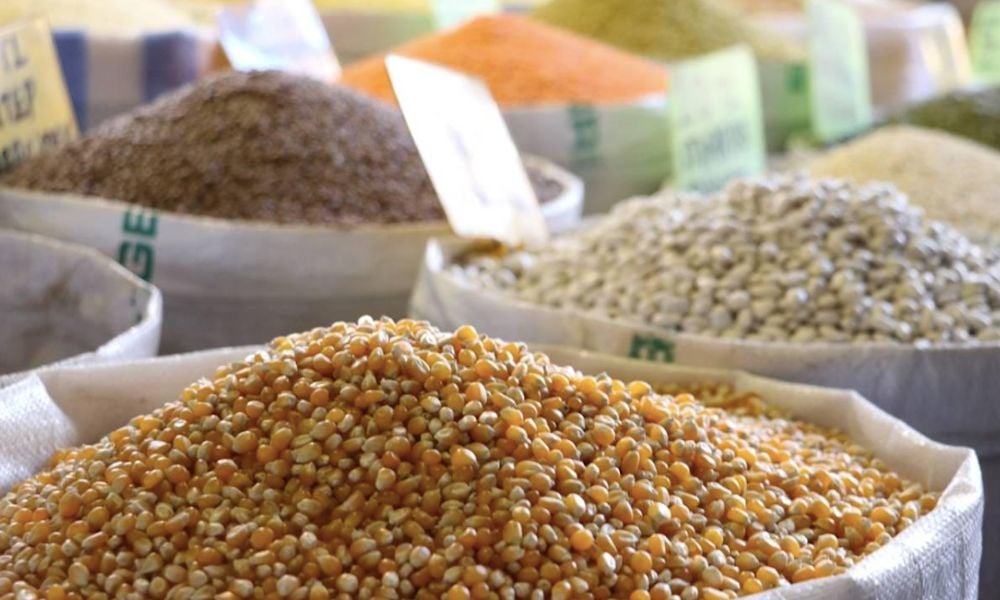 TİM: Hububat İhracatında Yüzde 10’un Üzerinde Artış Kaydedildi