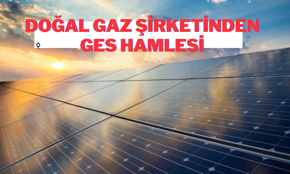 Ünlü Doğal Gaz Şirketi Muş’ta GES Kuruyor