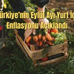 Türkiye’nin Üretici Enflasyonu Eylül’de Geriledi