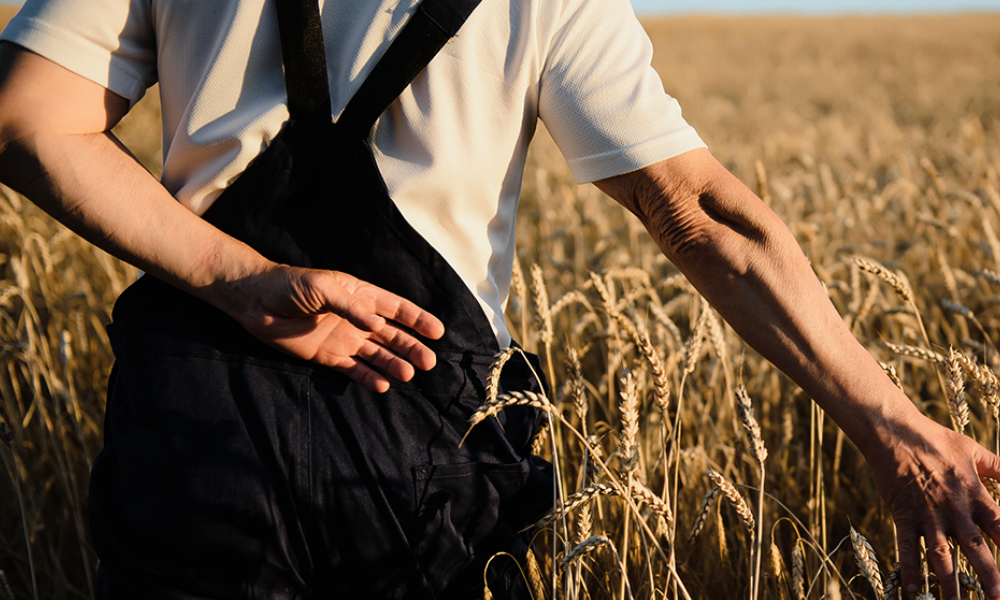 5 Bin Liralık İkramiye için Çiftçiler Bunu Yapıyor!