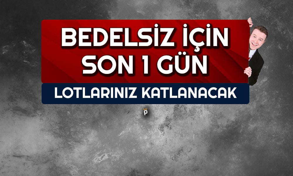 Bedelsiz Geliyor! 100 Lotunuz 334’e Çıkacak