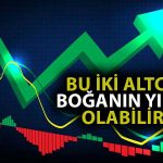 Analist Sıradaki Kripto Boğası için İki Altcoine İşaret Etti