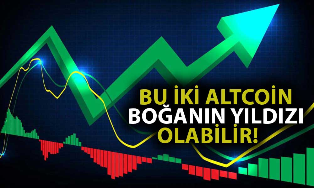 Analist Sıradaki Kripto Boğası için İki Altcoine İşaret Etti