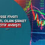 Borsa Düşerken 10 Bin 170 TL’lik Hisse En Çok Kazandıran Oldu!