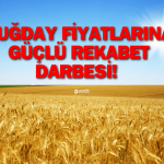 Buğday Fiyatlarına Güçlü Rekabet Darbesi!