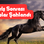 Ciroyu Yükseltecek Sipariş Aldı, Hisseler Şahlandı!