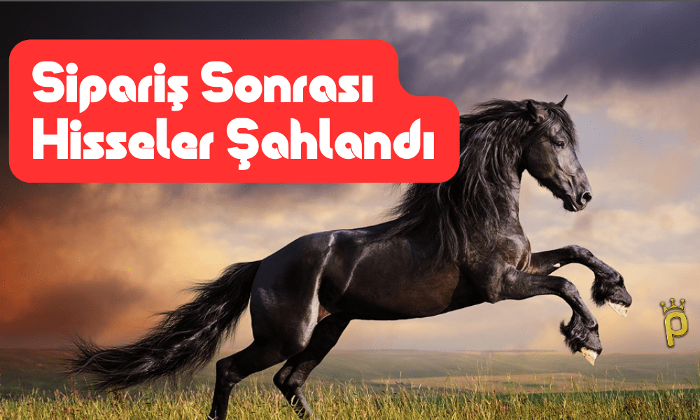 Ciroyu Yükseltecek Sipariş Aldı, Hisseler Şahlandı!