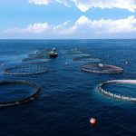 Denizden 1,4 Milyar Dolarlık Ganimet Çıktı!