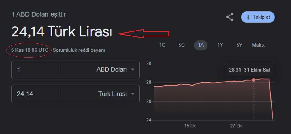Dolar/Türk Lirası Kuru Google Göstergesi