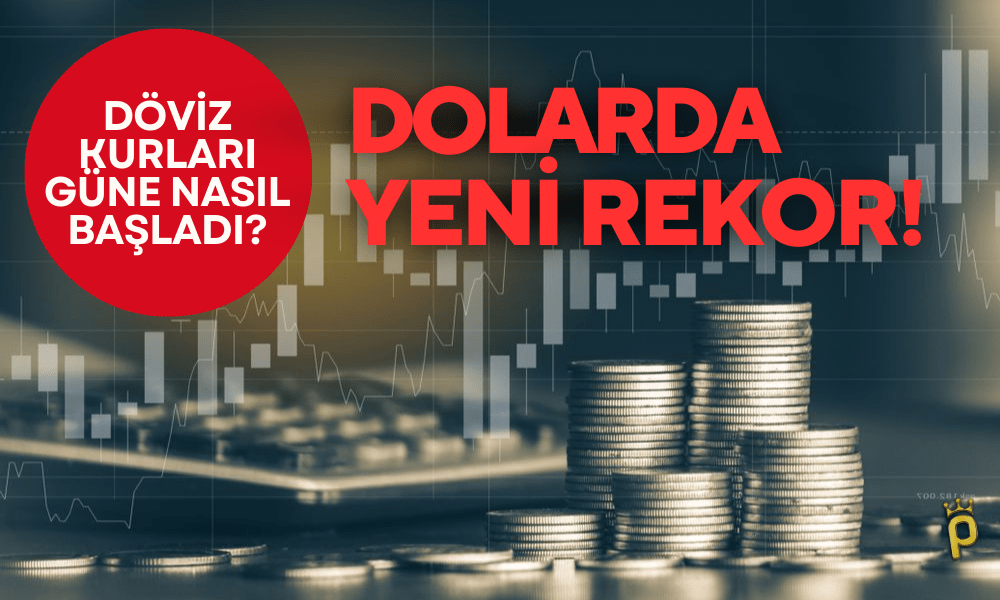 Dolarda Yeni Rekor! Dövizlerde Son Durum (07.11.2023)