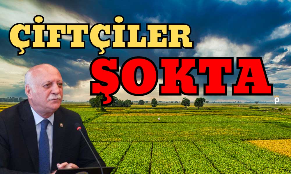 Emeklilere Cumhuriyet İkramiyesi! Çiftçiler Şokta