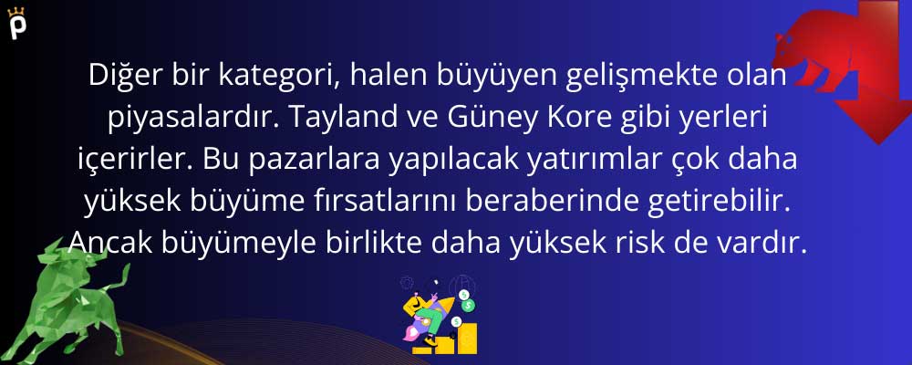 Gelişmekte Olan Piyasalara Yatırım Gelişmekte Olan Piyasalara Yatırım