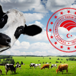 Hayvancılık Desteklerinde Yüzde 100’ü Aşan Artış