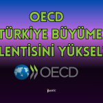 Kritik Veri Öncesi OECD’den Türkiye için Büyüme Tahmini