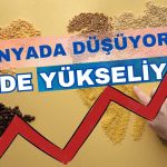 Küresel Gıda Fiyatları Düşüyor, Türkiye Yükseliş Trendini Koruyor