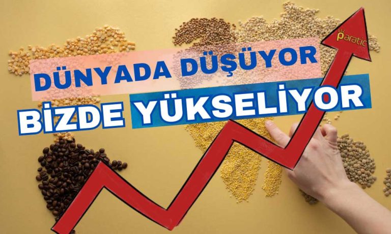 Küresel Gıda Fiyatları Düşüyor, Türkiye Yükseliş Trendini Koruyor