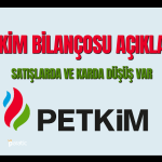 Petrokimya Devinden 3. Çeyrek Bilançosu Geldi: Satışlarda Düşüş Var
