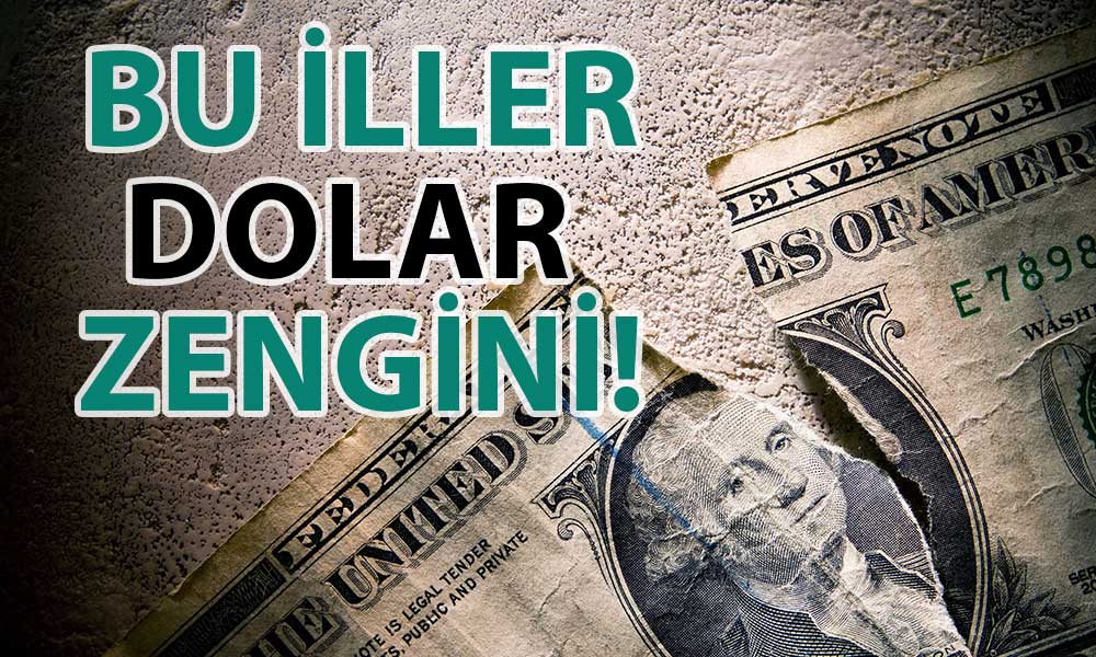 Türkiye’de En Çok Döviz Tutulan İller Belli Oldu
