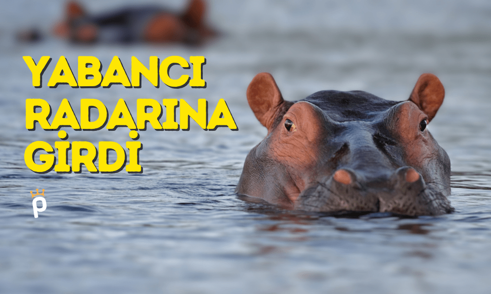 Yüzde 100 Kâr Getiren GYO Yabancı Radarına Girdi