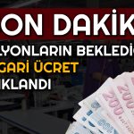 Milyonların Bekleyişi Sona Erdi: 2024 Yılı Asgari Ücret Açıklandı