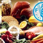 BM Uyardı: Tarım ve Gıda Sektörü Tehdit Altında!