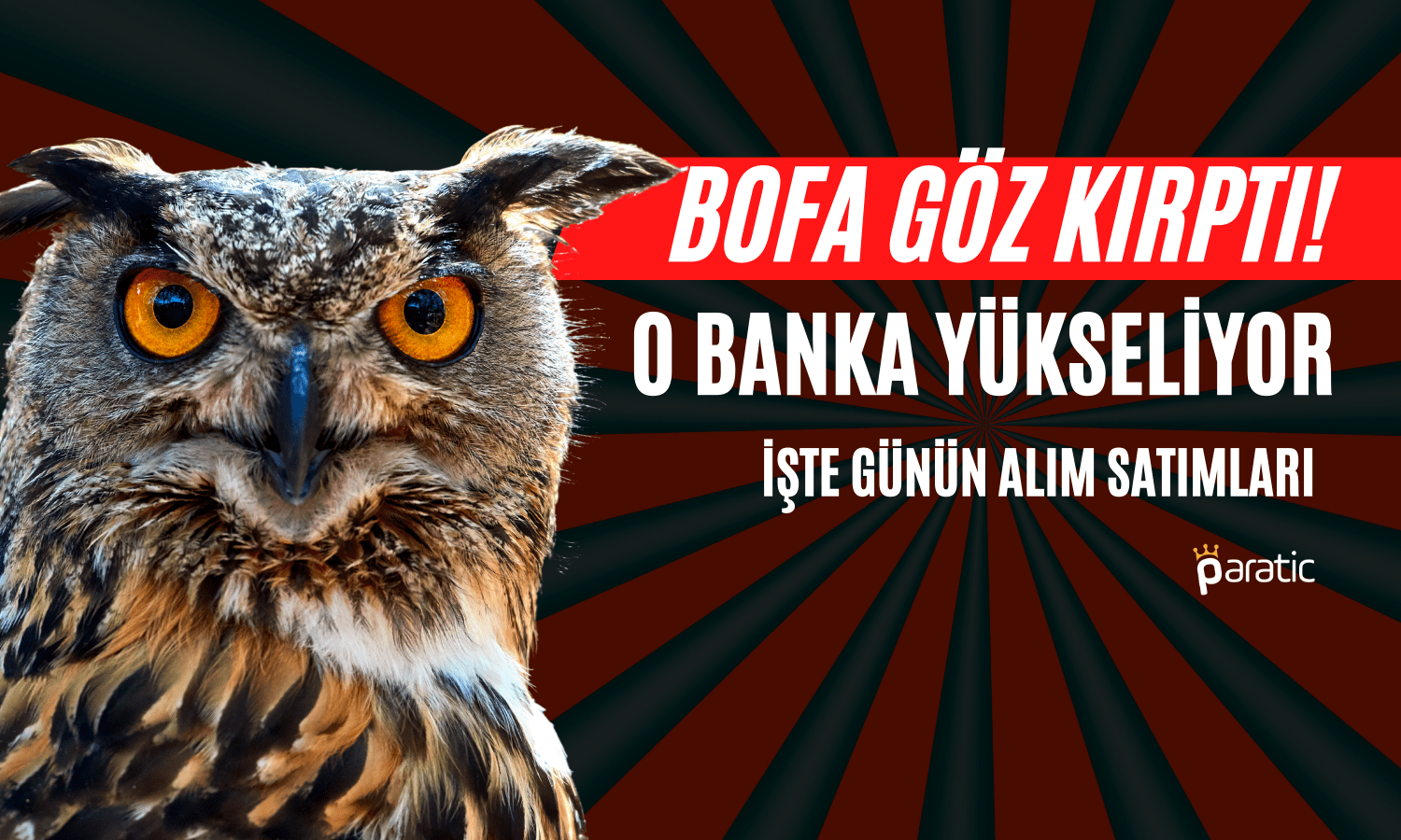 BofA Göz Kırptı, Kazançlar O Bankada Arttı