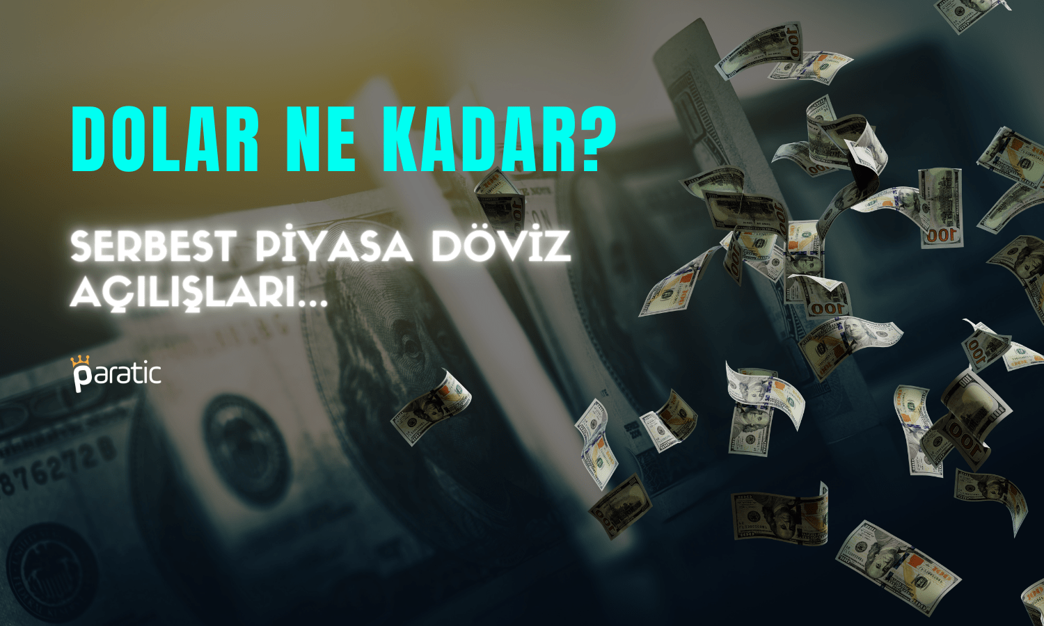 Dolar Ne Kadar? Serbest Piyasa Döviz Açılışları (27.12.2023)