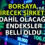 Halka Arz Olacak Gayrimenkul Şirketine İlişkin Endeks Açıklaması