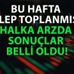 Halka Arzda Sonuçlar Açıklandı: Kuzey Boru (KBORU) Kaç Lot Verdi?