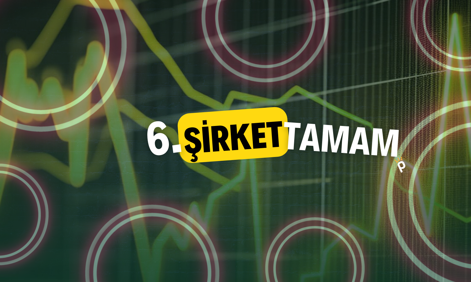 Halka Arzın Yeni İsminde Finansman Tamam: Şirket Kuruldu