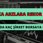 Halka Arzlara 100 Milyona Yakın Yatırımcı Katıldı