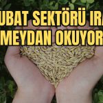 Hububat ve Bakliyat Sektörü Körfez’e Yelken Açtı