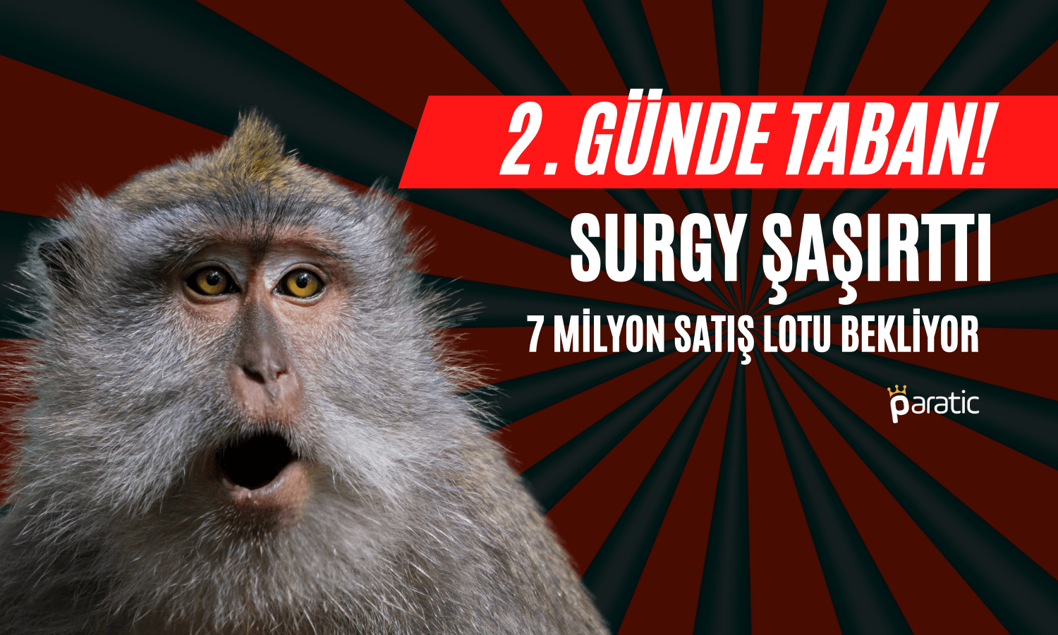 İkinci Günde 7 Milyon Satış Lotu! SURGY Devre Kesti