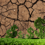 İklim Değişikliğine 3 Milyar Dolarlık Finansman!