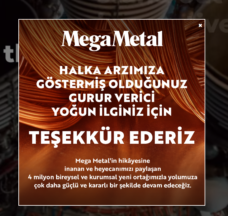 Mega Metal (MEGMT) için Halka Arz Sonuçları: Kaç Lot Dağıtıldı?