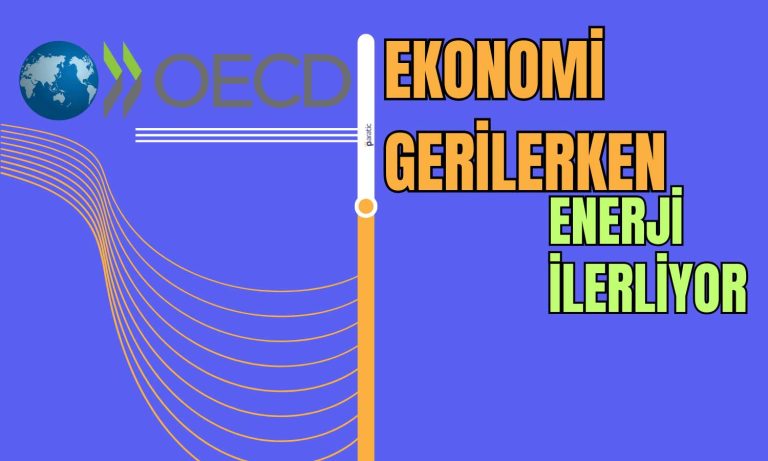 OECD’den Ekonomik Yolculuk: 2060’a Enerjiyle Geçiş!