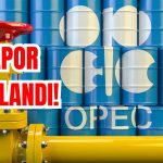 OPEC: Petrol Fiyatları Düşerken, Endişeler Artıyor!