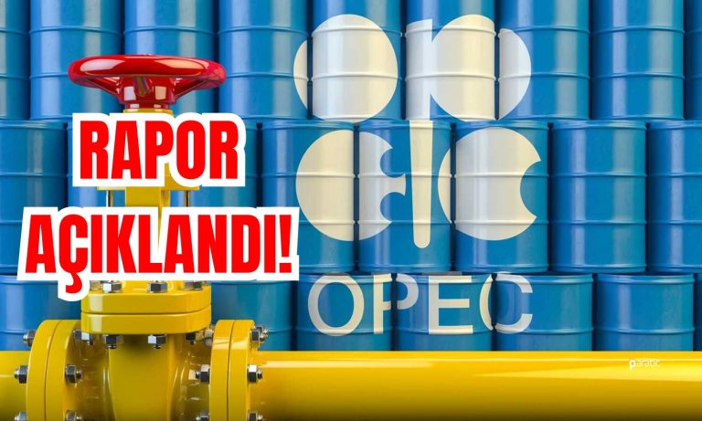 OPEC: Petrol Fiyatları Düşerken, Endişeler Artıyor!