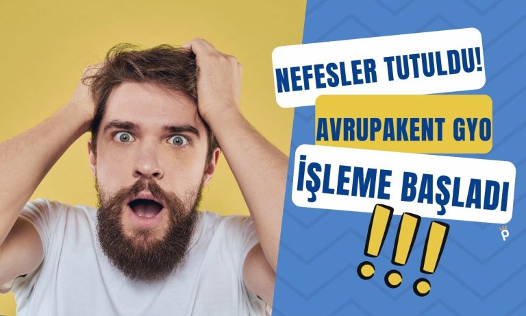 Tarihin En Büyük İkinci Halka Arzının Yıkımı Büyük Oldu!