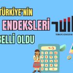 Toplam Ciro Endeksi 2 Ayın Ardından Hafif Yükseldi