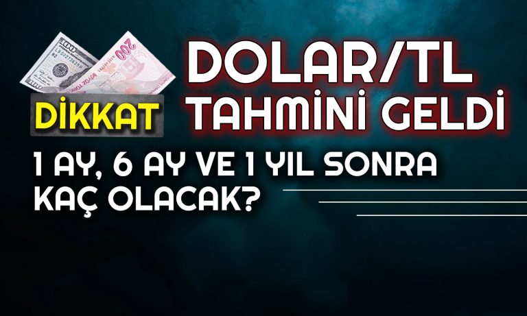 Türk Lirası Dolar Karşısında Ne Kadar Olacak? Anket Şaşırttı