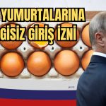 Vergisiz Geçiş: Türk Yumurtaları Rus Piyasasında