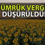 Ayçiçek Tohumu ve Yağı İthalatına Yönelik Yeni Düzenleme