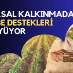 Bakan Açıkladı: Kırsal Kalkınma Projelerine Büyük Hibe Desteği