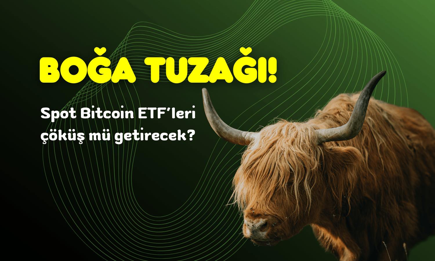 Bitcoin Spot ETF Mükemmel Bir Boğa Tuzağı!