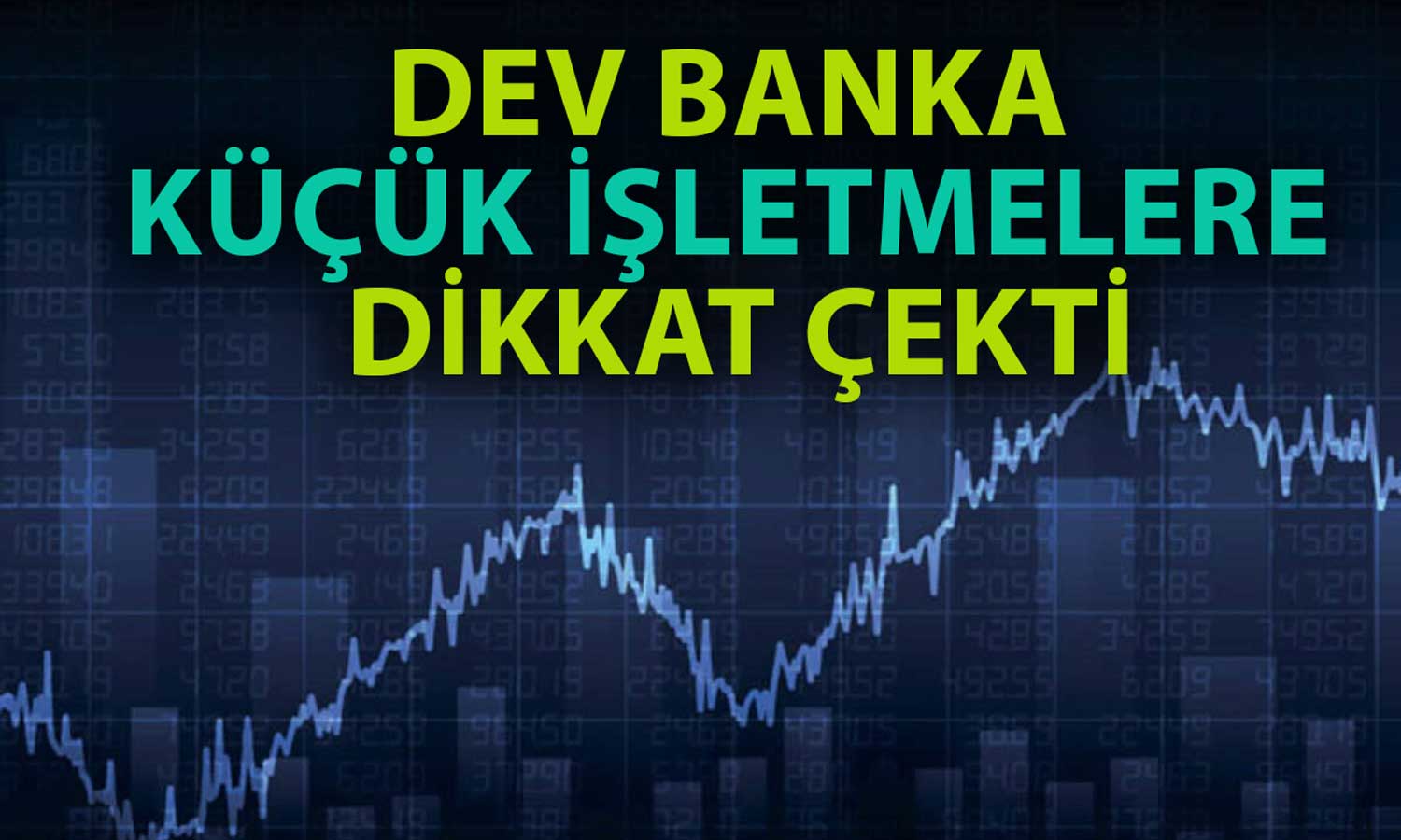 BofA 2024 Yılı için Bu Küçük Hisselerde Potansiyel Görüyor!