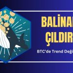 Bitcoin Pazarında Düşüş Eğiliminde Büyük Satın Alma Çılgınlığı!