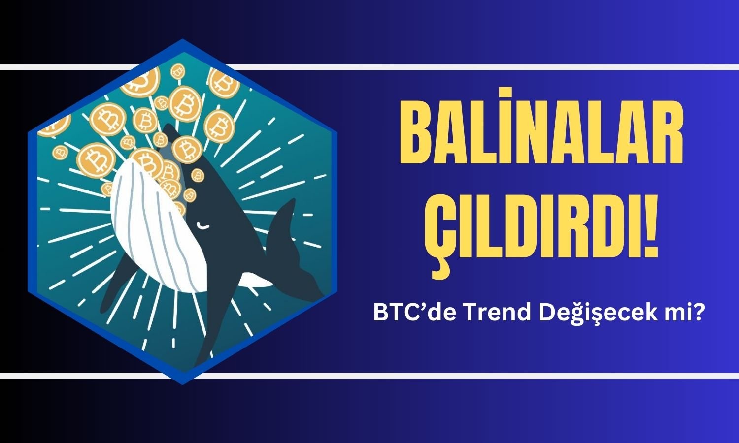 Bitcoin Pazarında Düşüş Eğiliminde Büyük Satın Alma Çılgınlığı!