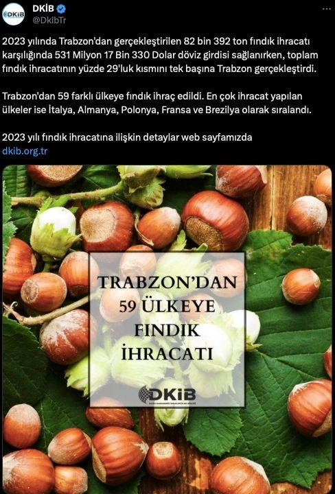 Trabzon 2023 Fındık İhracat Bilgileri