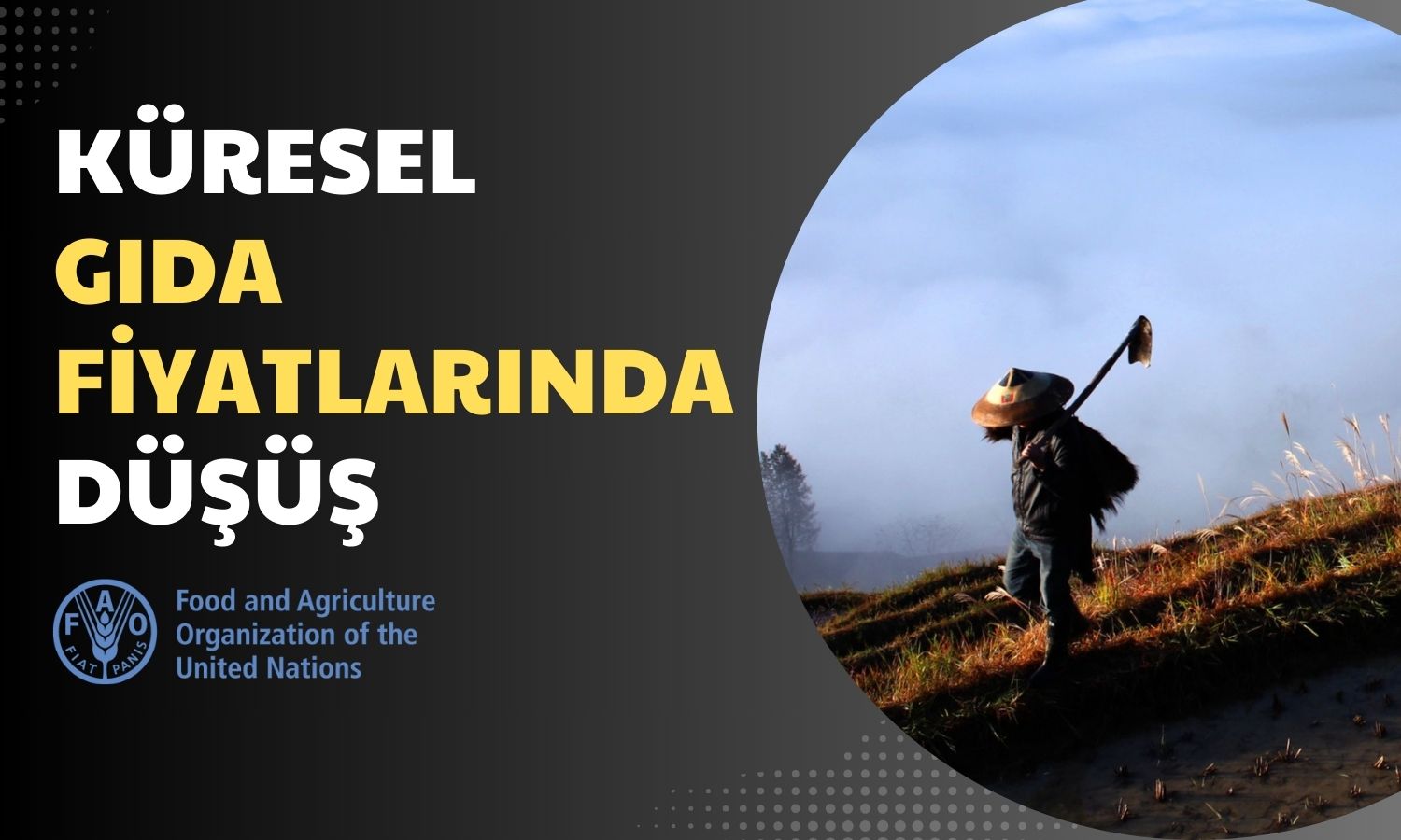 FAO Açıkladı: Küresel Gıda Fiyatları Endeksinde Düşüş Yaşandı